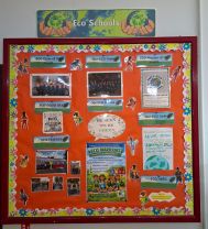 ECO BOARD UPDATE