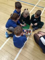 Shared Education Day for Primary 1/2